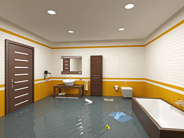 Best Storm and Flood Water Damage Restoration in USA